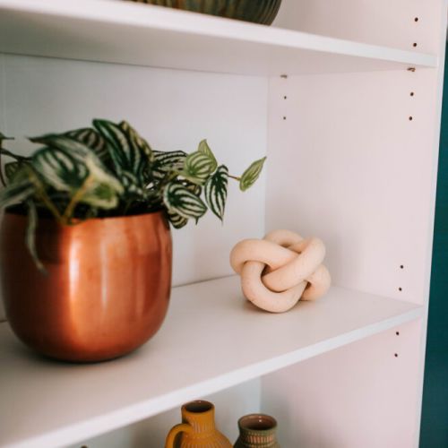 Where greenery meets artistry—every corner of this space is curated for comfort and style.