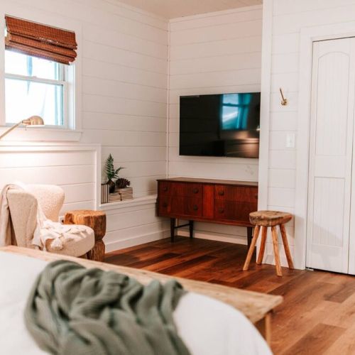 TV in Primary Basement Bedroom