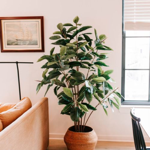 Bright, airy, and full of life — cozy up by the lush greenery and let natural light set the perfect mood for your stay.