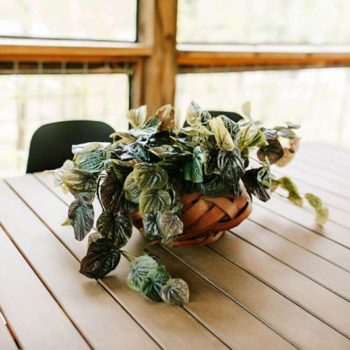 Charm meets comfort! Discover delightful decor accents throughout our cabin, including a small plant adorning the dining table for a touch of nature indoors.