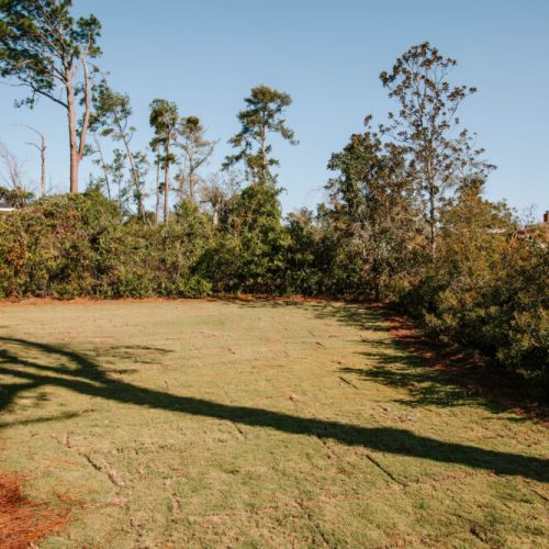 Stretch out and soak up the sunshine in this spacious backyard.